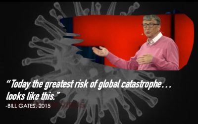 Bill Gates Speech (not missiles but microbes)