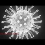 influenza virus image